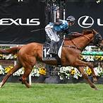 best horse to bet on melbourne cup 2020